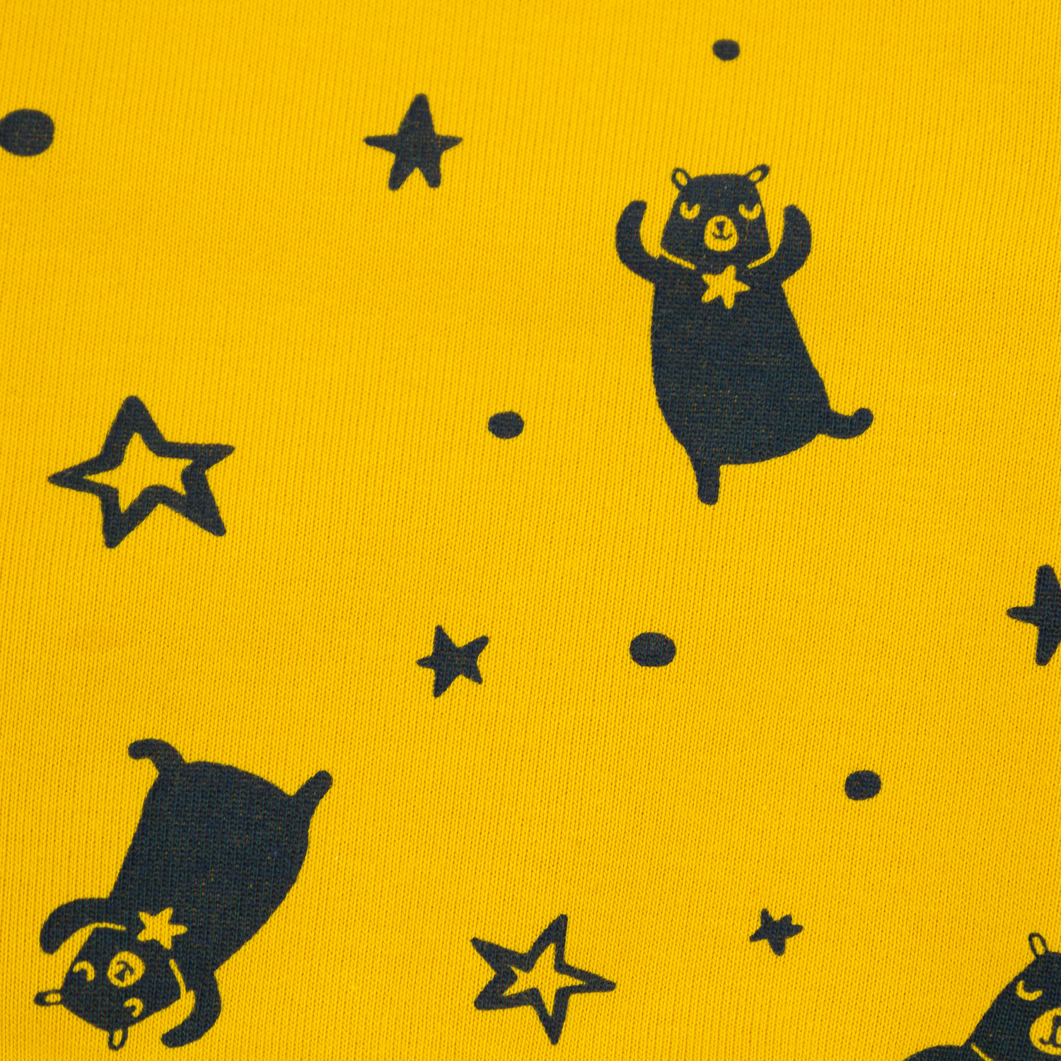 Komin Niedźwiedzice