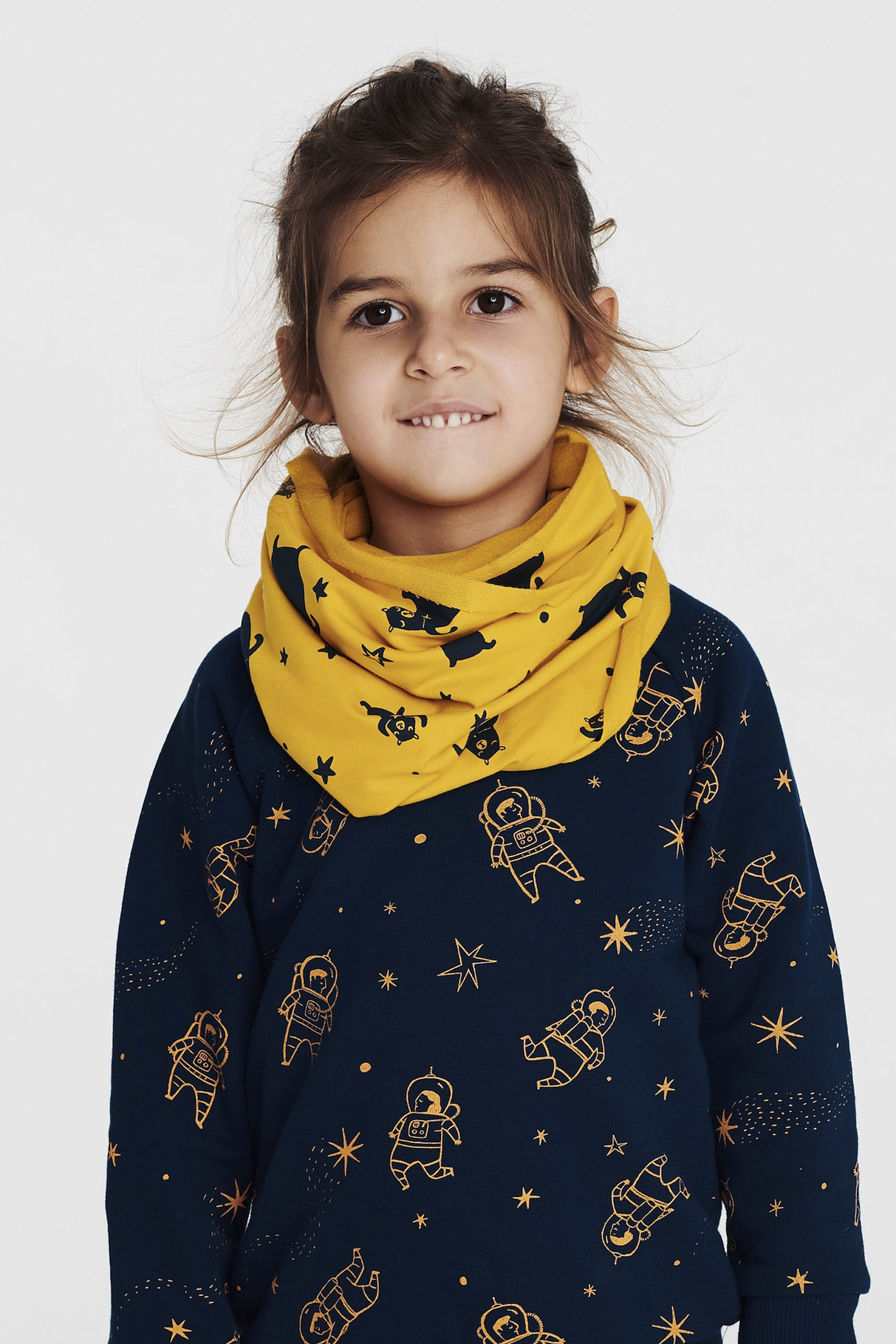 Komin Niedźwiedzice