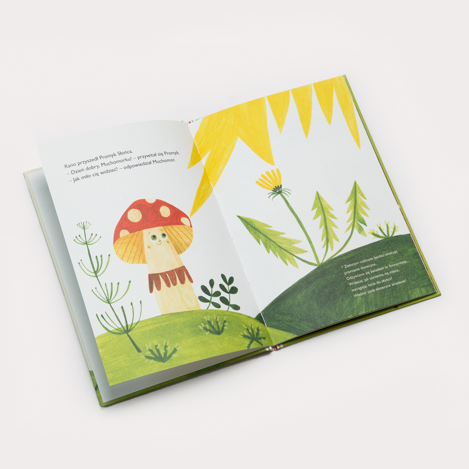 Książeczka dla dzieci “Kto odwiedził Muchomorka?” – Maria Dek