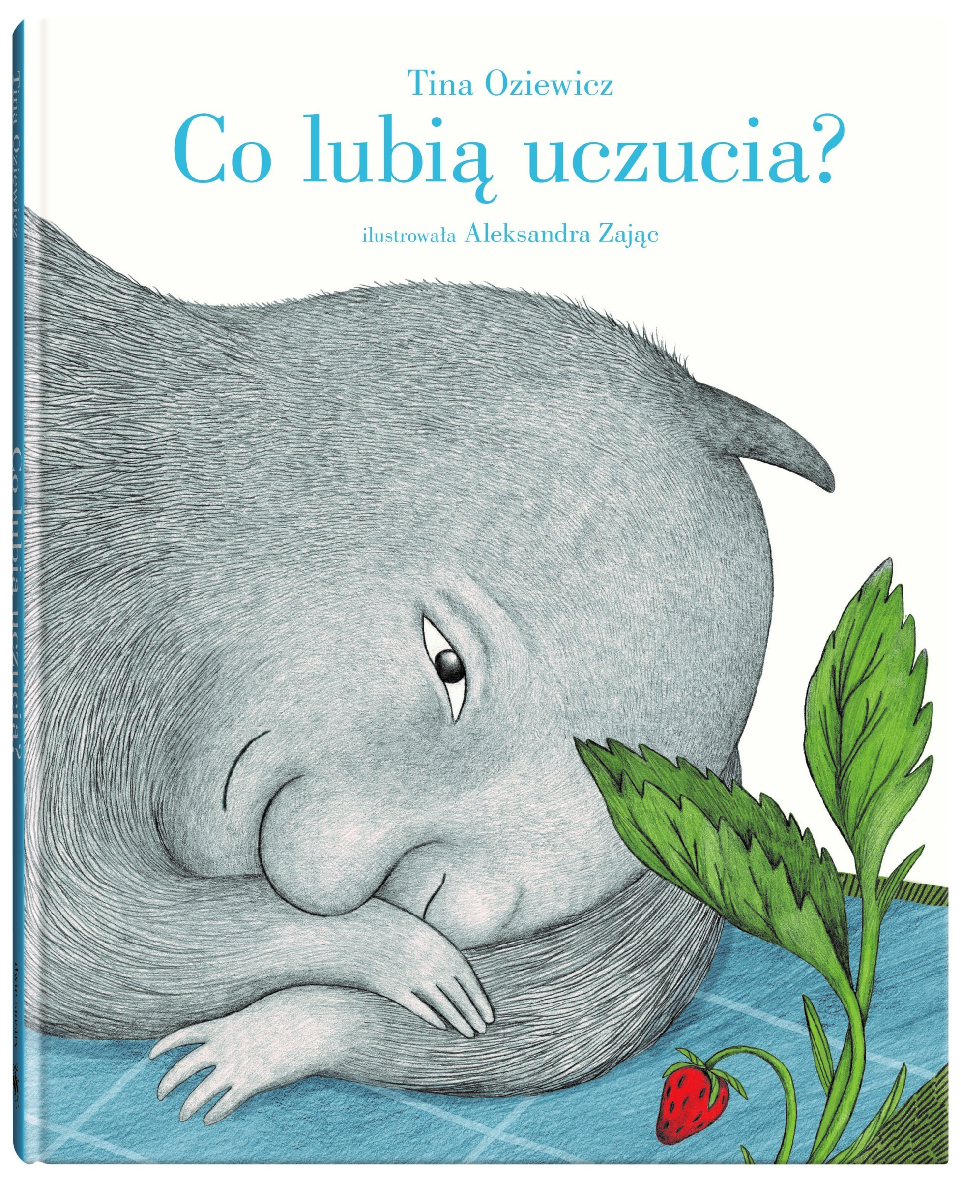 Książka dla dzieci “Co lubią uczucia?” – Tina Oziewicz