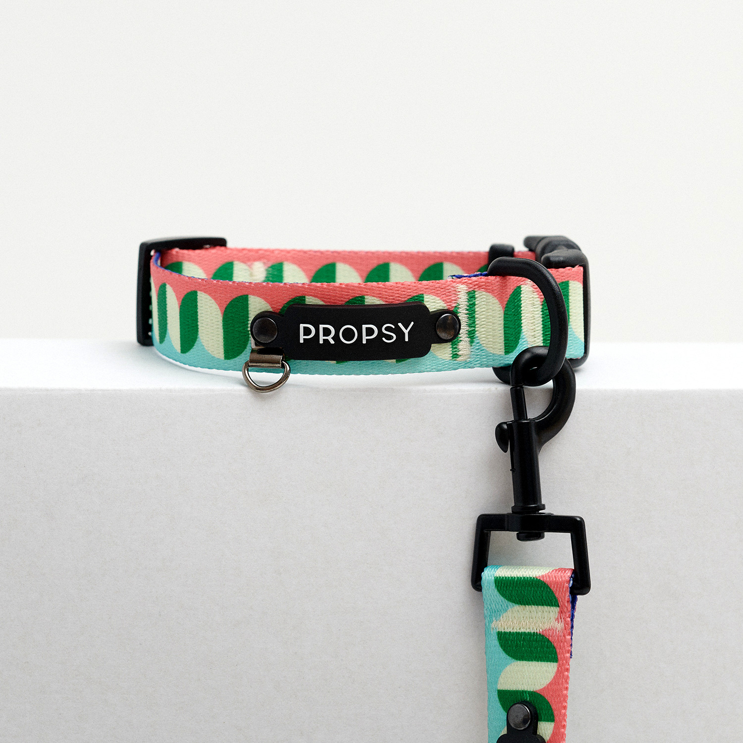 Obroża z klamrą - Modern Walking