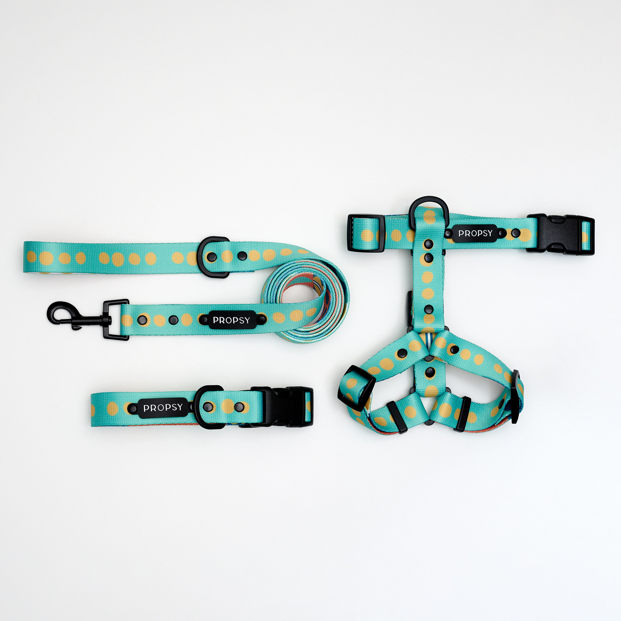 Obroża półzaciskowa - Basic Bloop