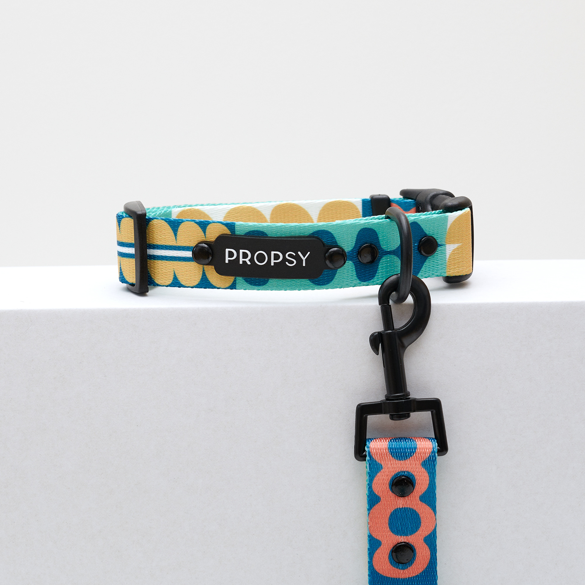 Obroża z klamrą - Dooggie Woogie