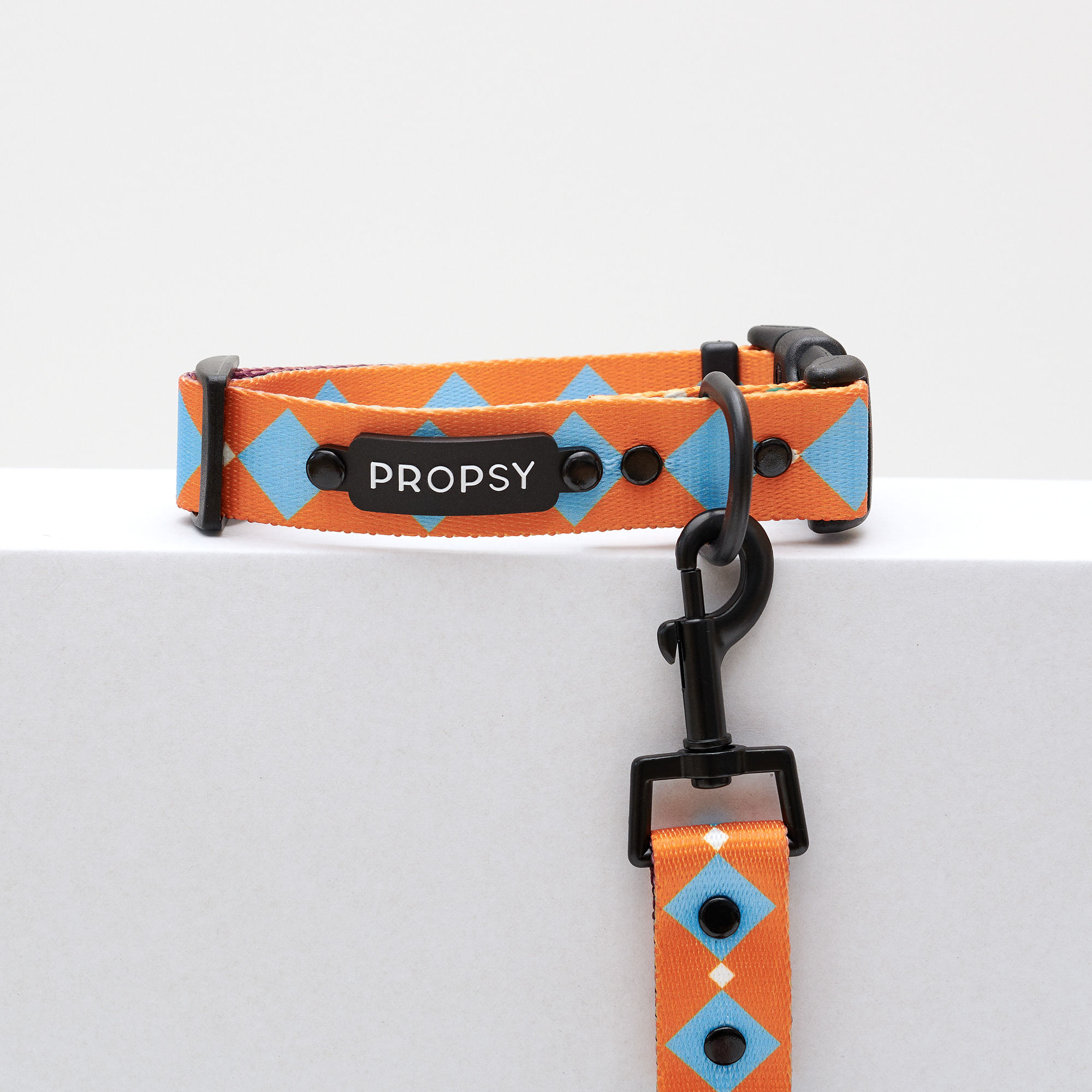 Obroża z klamrą - Retro Pooch