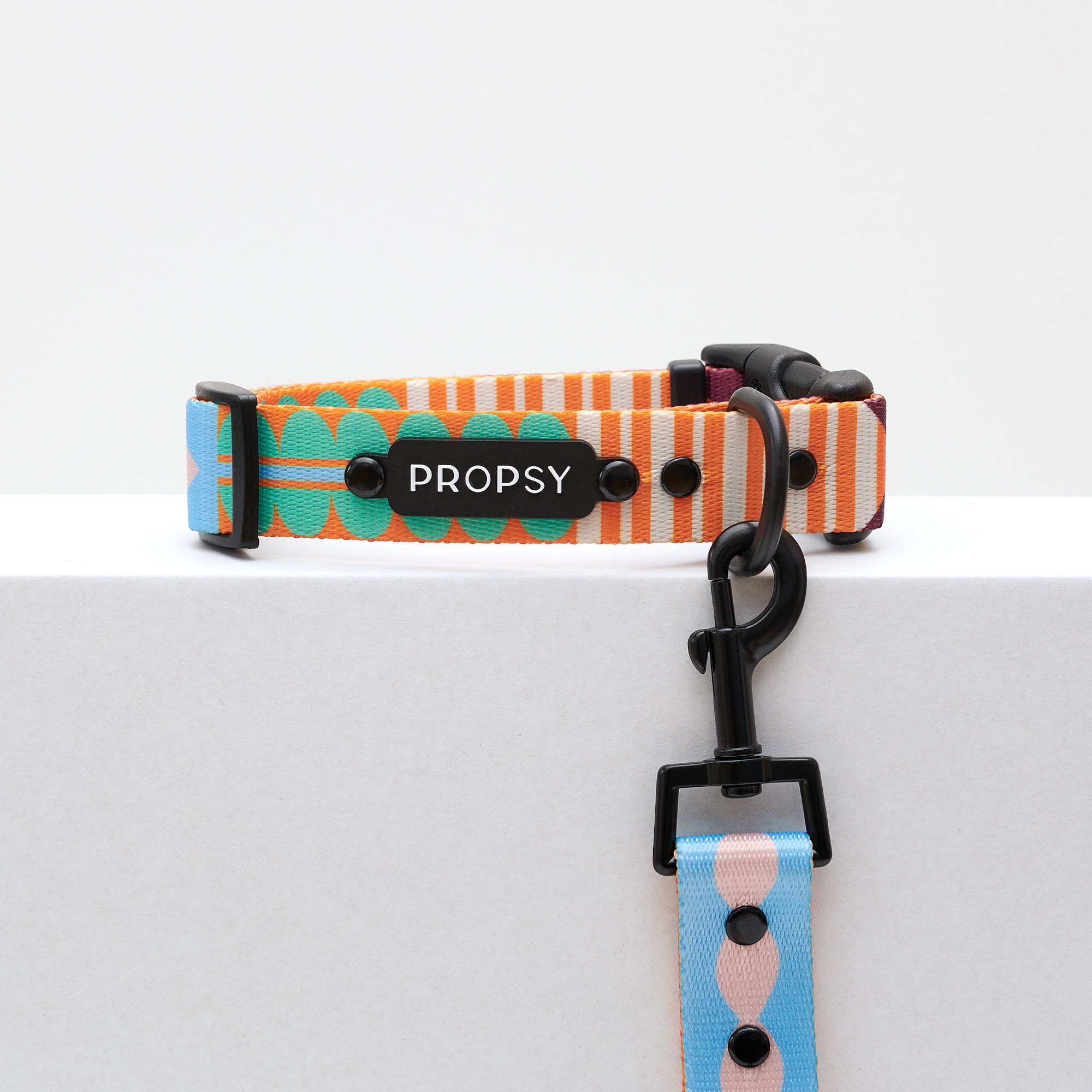 Obroża z klamrą - Let's Get Funky