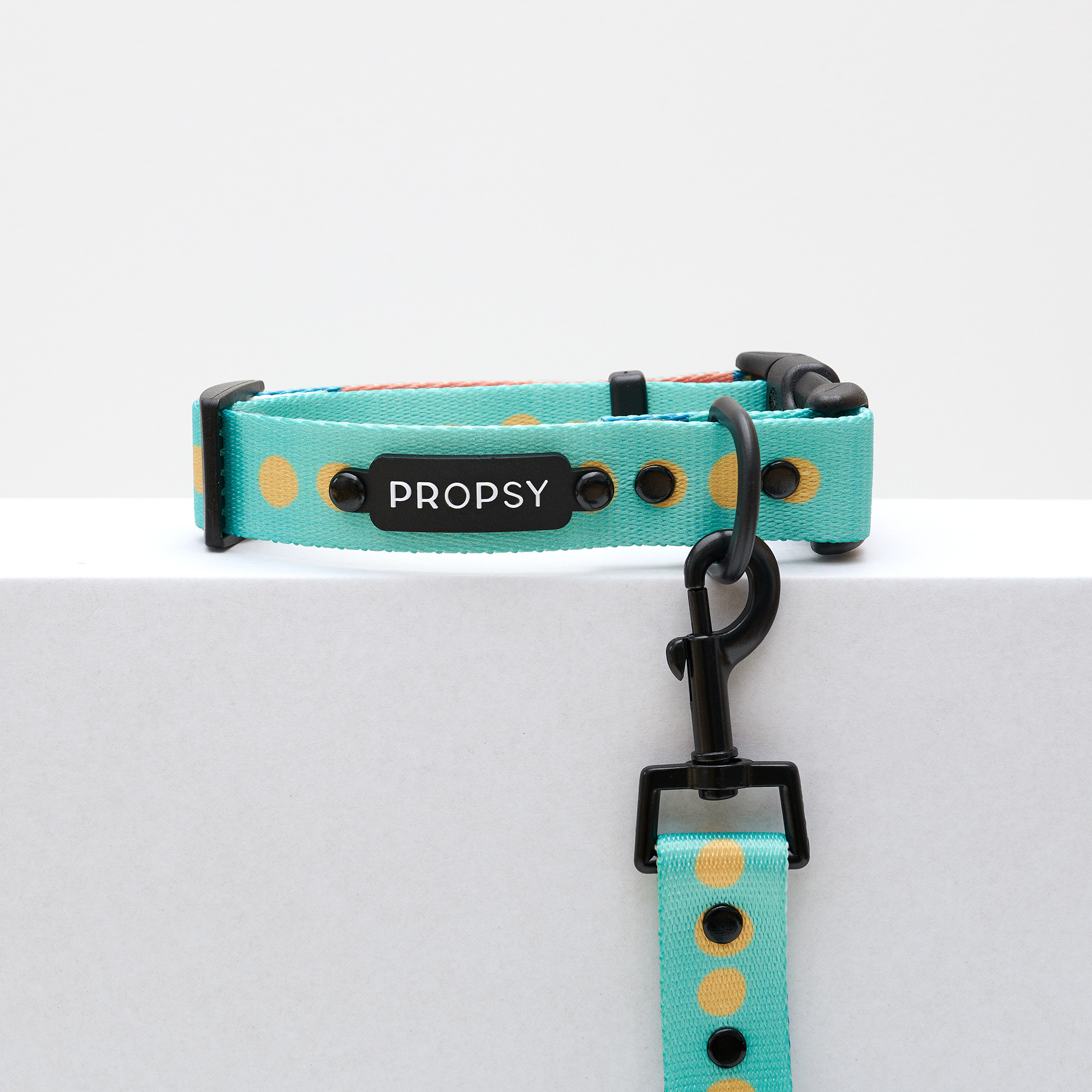 Obroża z klamrą - Basic Bloop